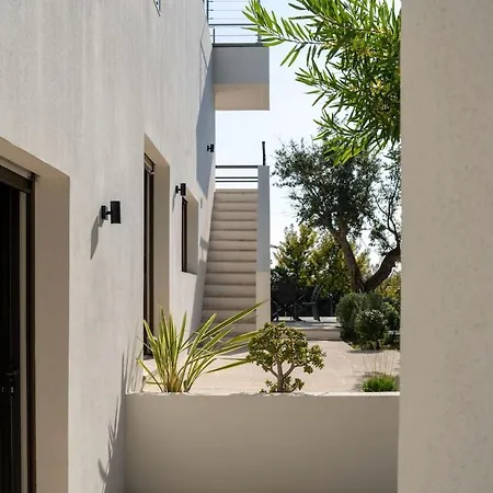 D Exception, Vue Et Rooftop Super Cannes Villa Vallauris