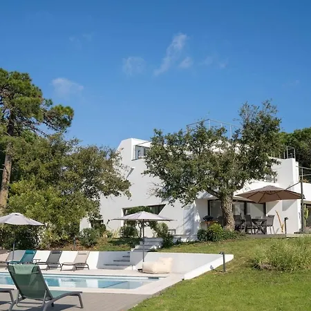 D Exception, Vue Et Rooftop Super Cannes Villa Vallauris